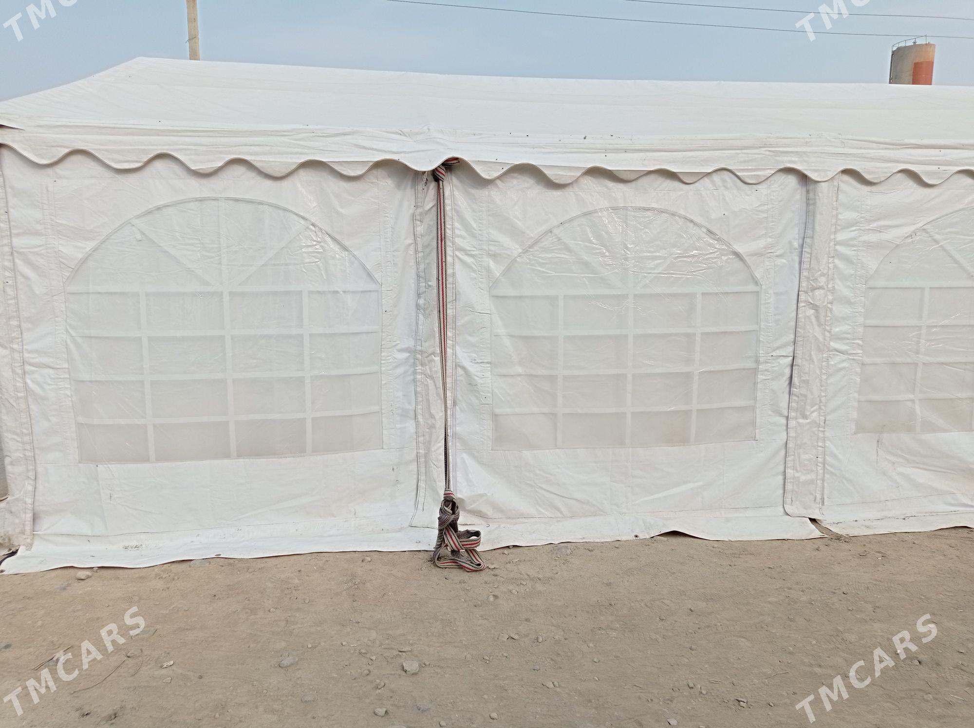 Palata yewro. - Ak bugdaý etraby - img 3