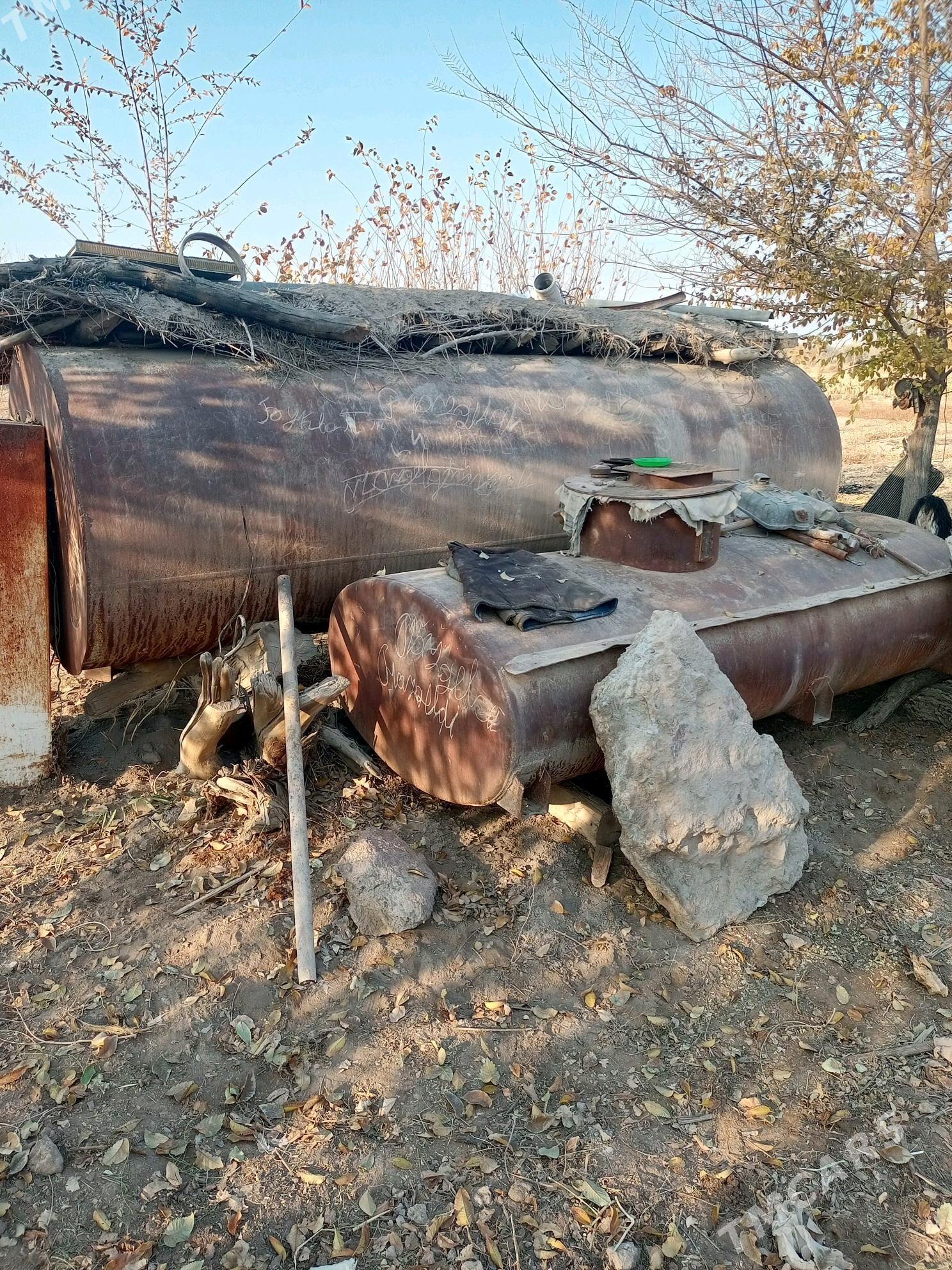 boçga - Болдумсаз - img 2