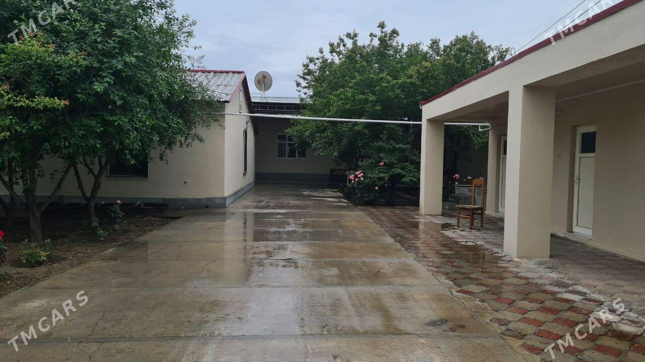 Jaý Änew - Анев - img 1