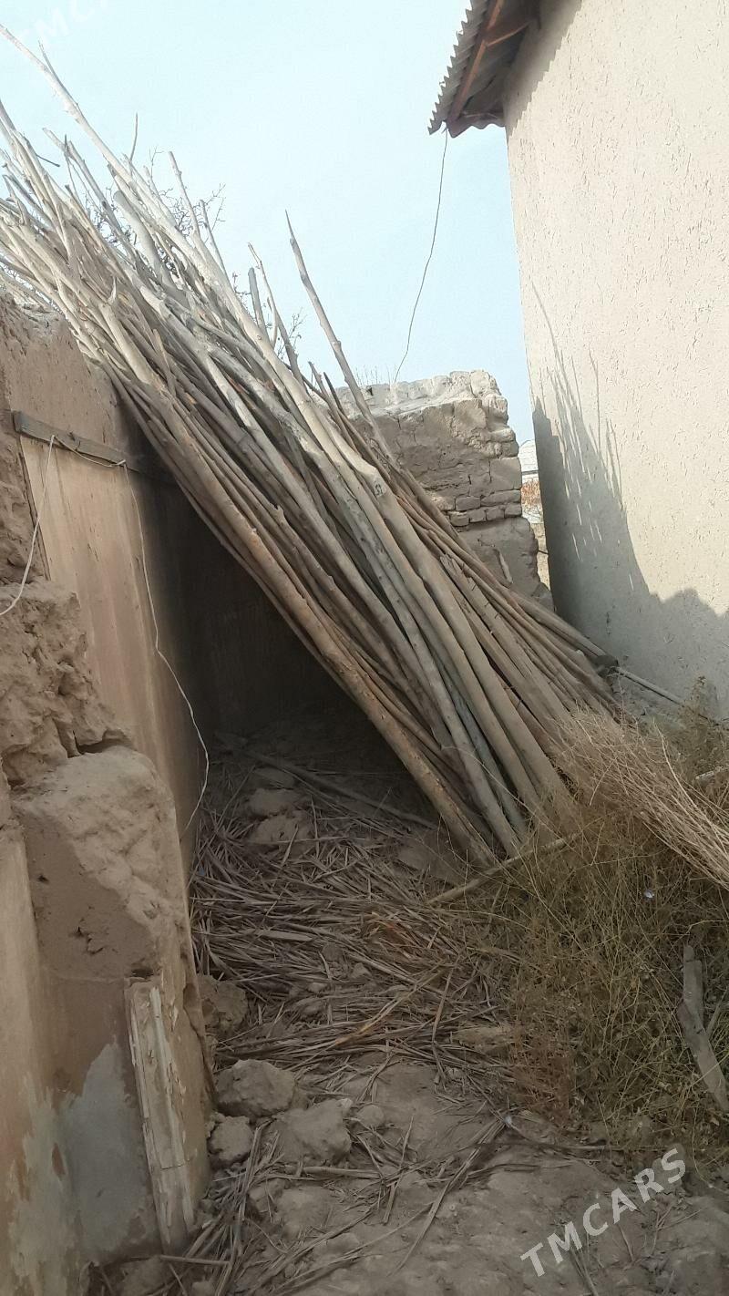 hada - Şabat etr. - img 1