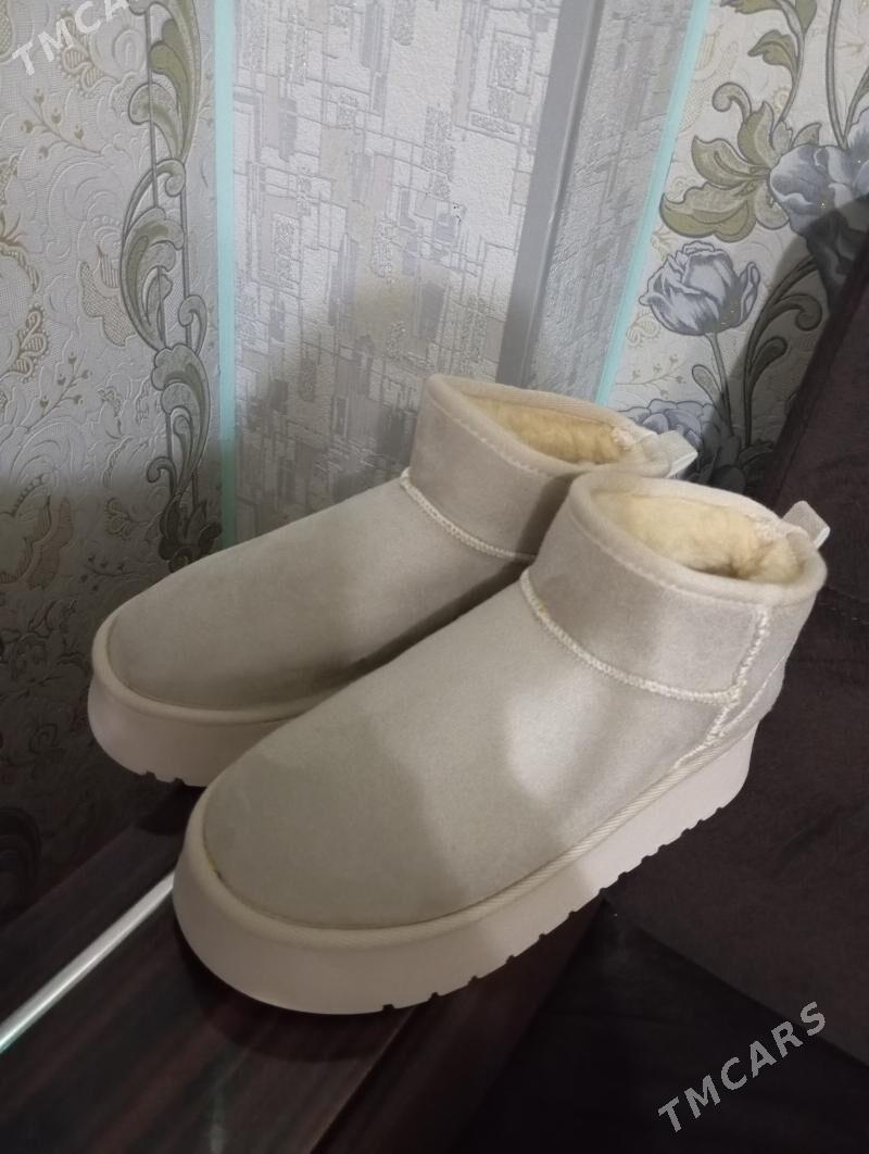 pes adik - Мары - img 2