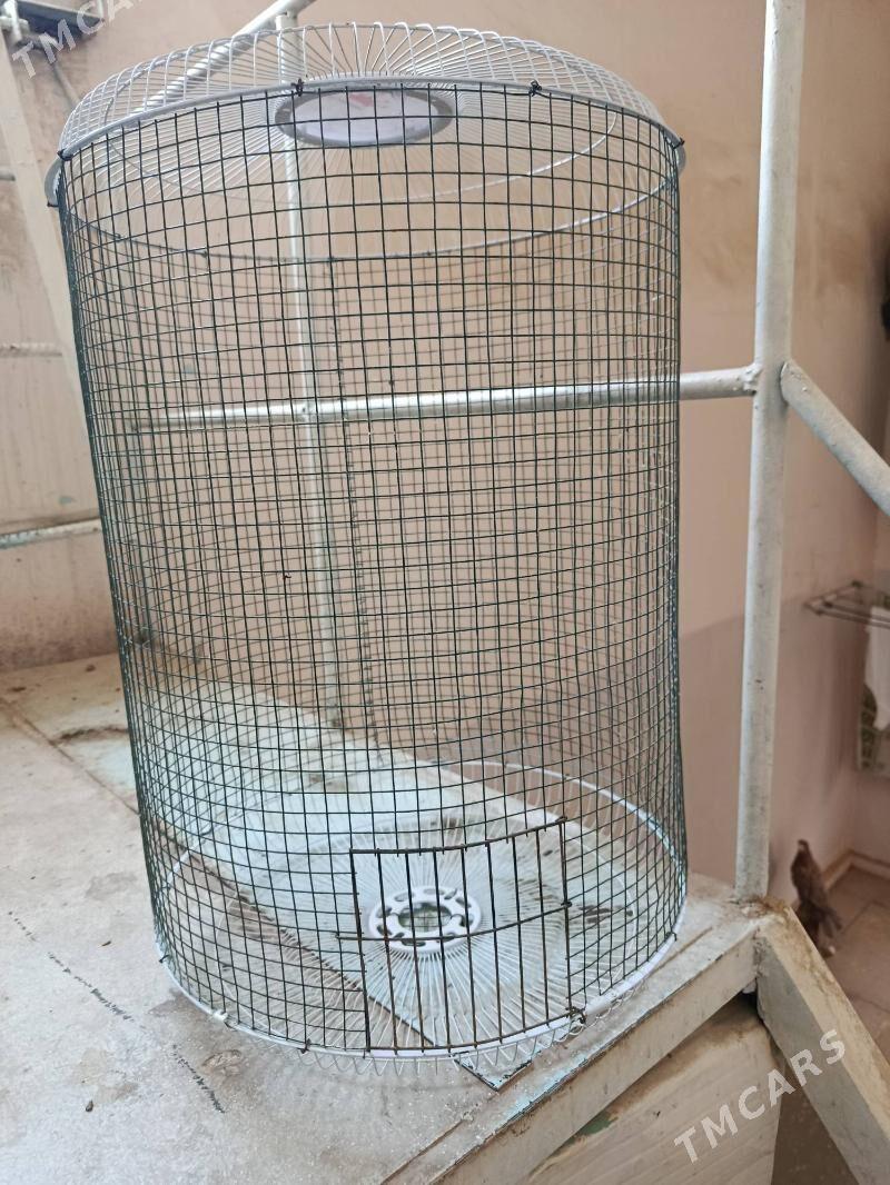 kletka, клетка - Aşgabat - img 2