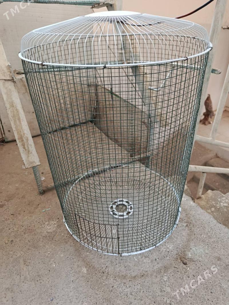 kletka, клетка - Aşgabat - img 4