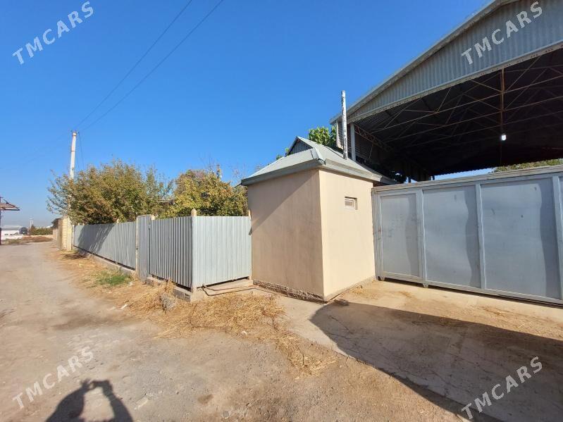 Satlyk Daca - Мары - img 1