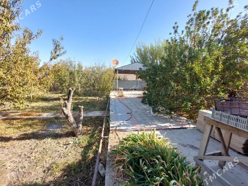 Satlyk Daca - Мары - img 2