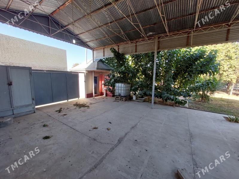 Satlyk Daca - Мары - img 3