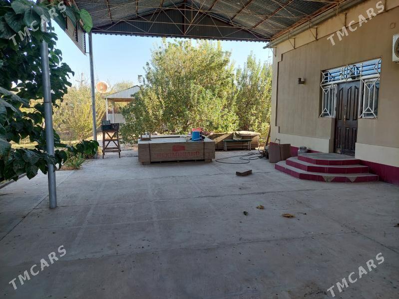 Satlyk Daca - Мары - img 9