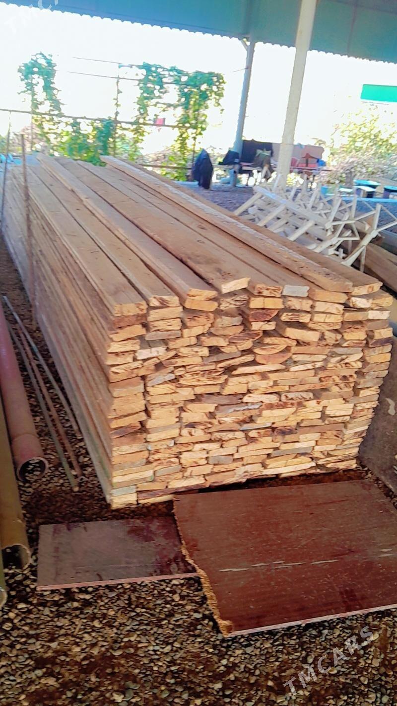 polluk agaçlar 2,5lik - Мургап - img 3