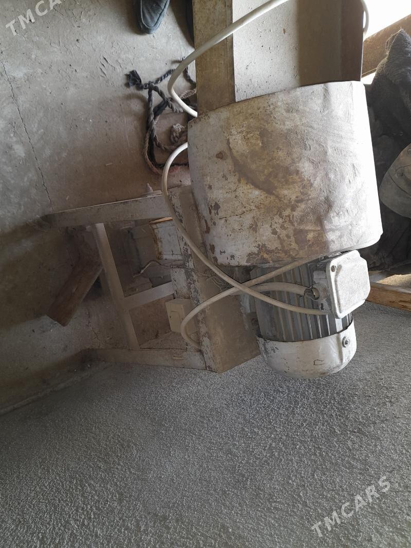 OT UWEYAN MASYN - Çoganly - img 4