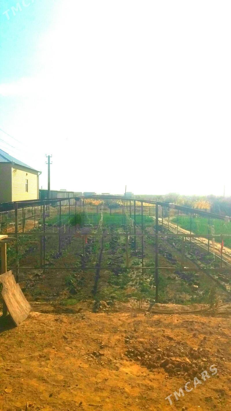 parnik teplissa - Мургап - img 2