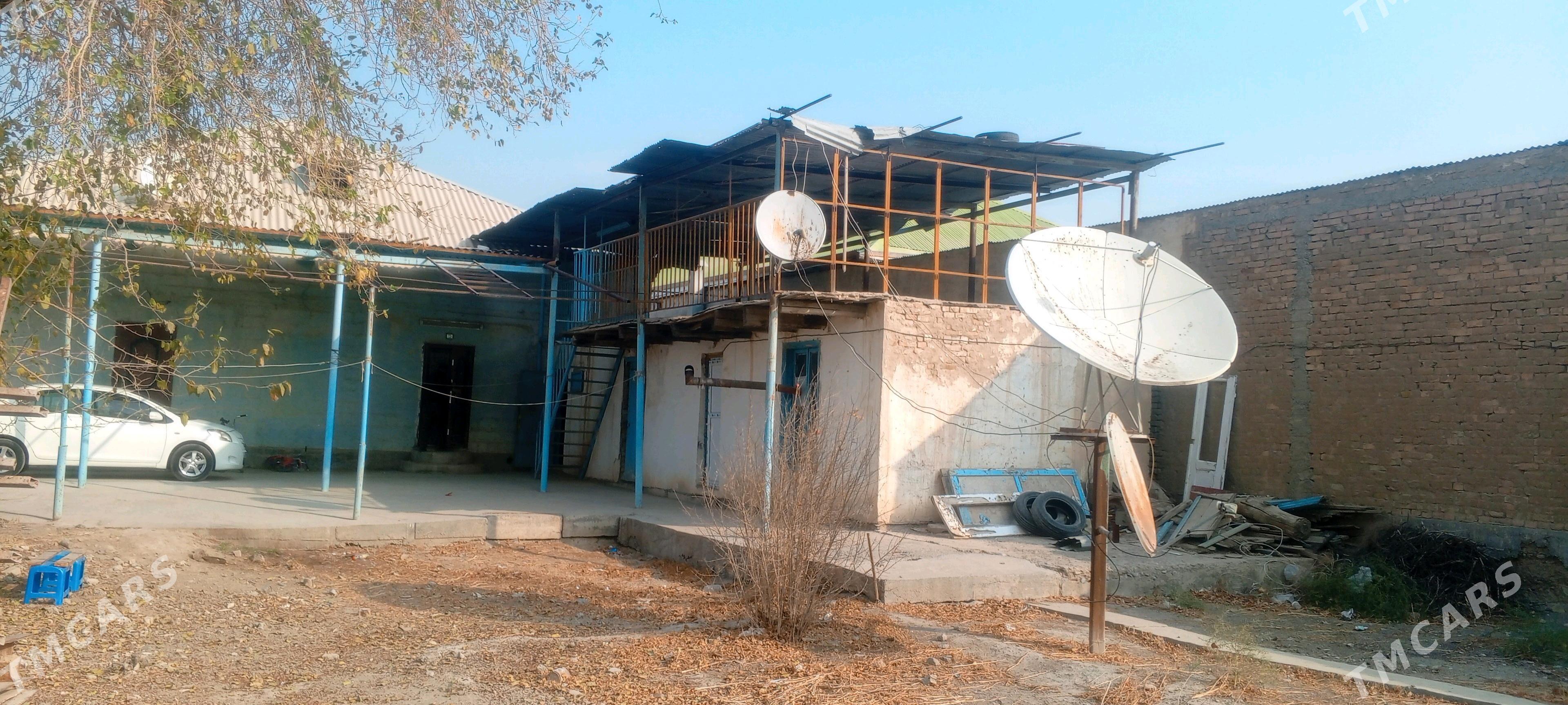 anew magtymguly - Änew - img 3