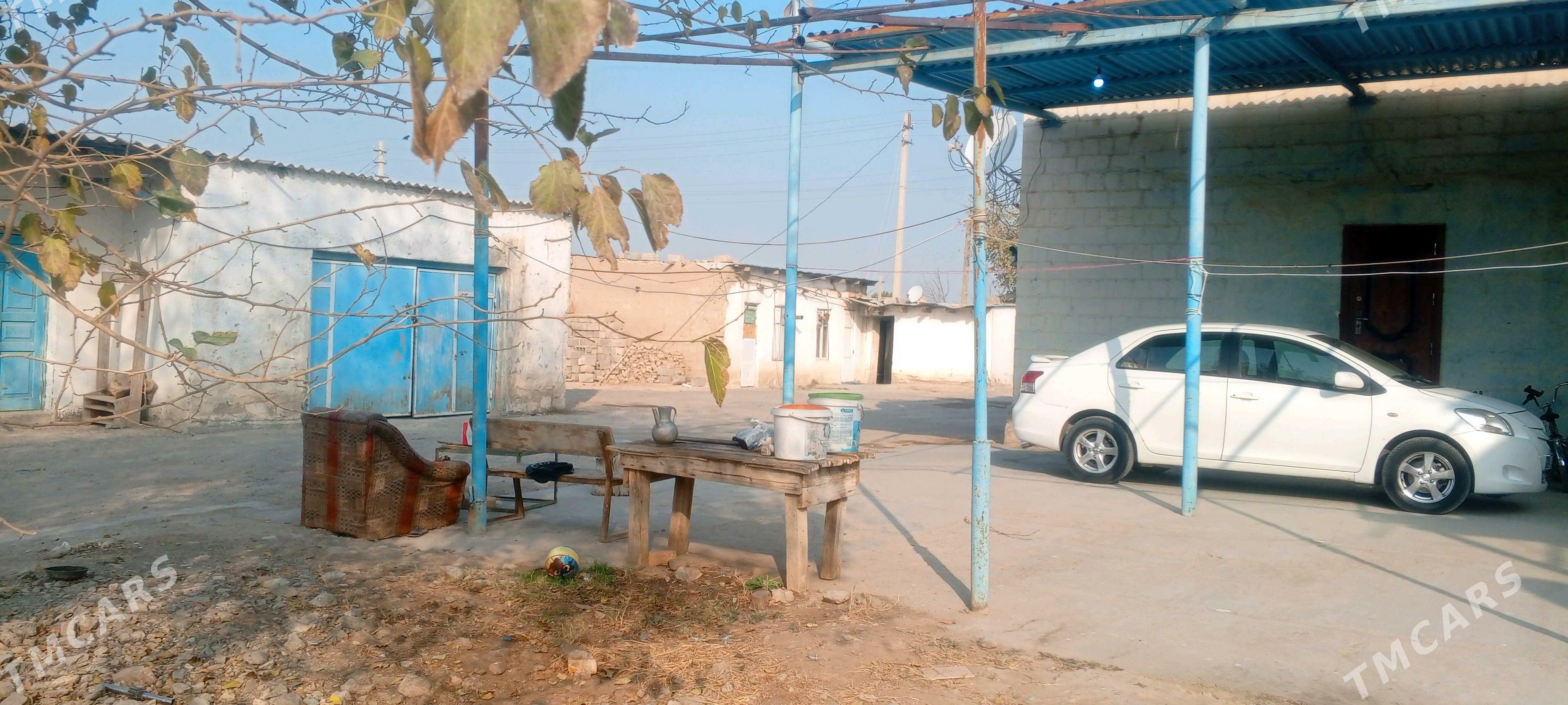 anew magtymguly - Änew - img 4