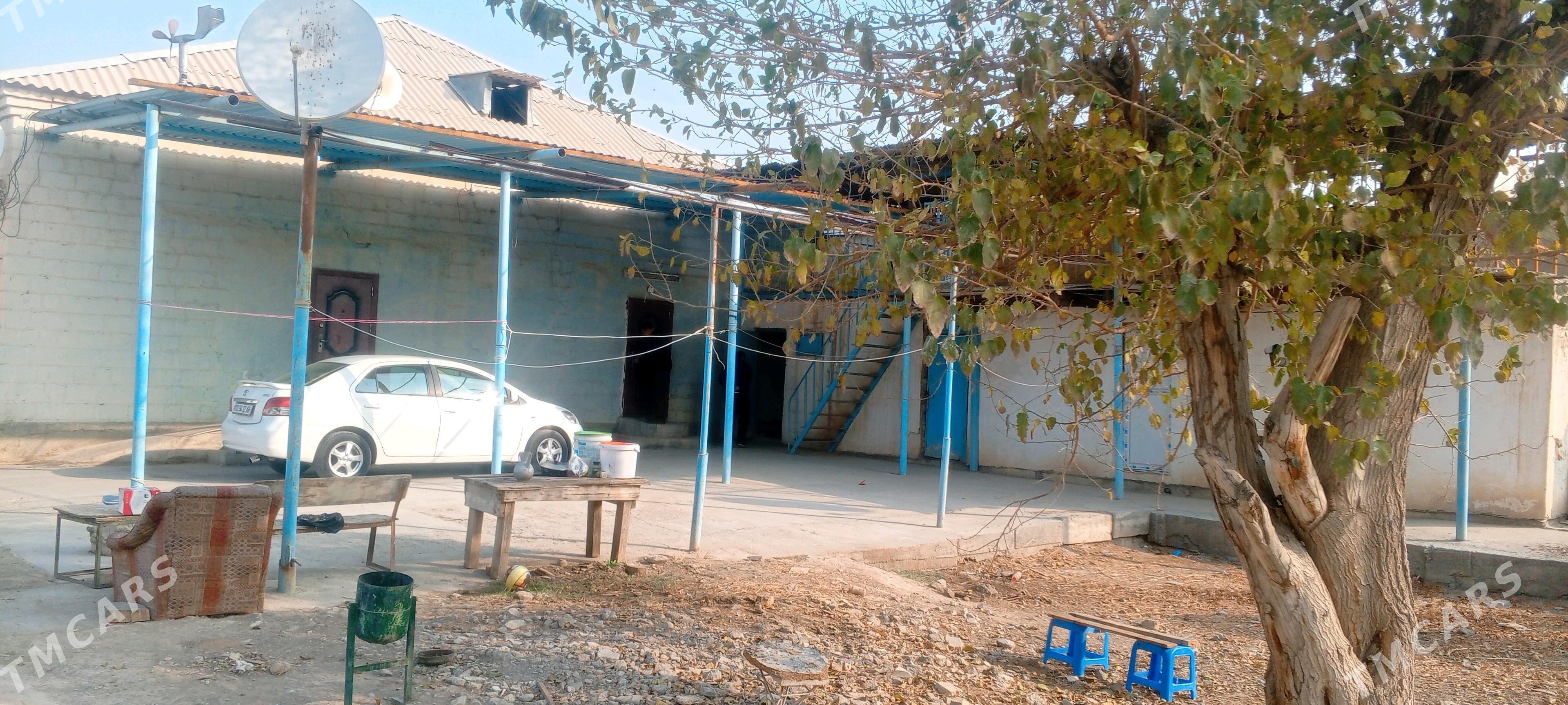 anew magtymguly - Änew - img 1