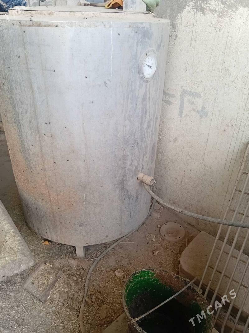 suyt parda bisiryàn enjam - Balkanabat - img 4