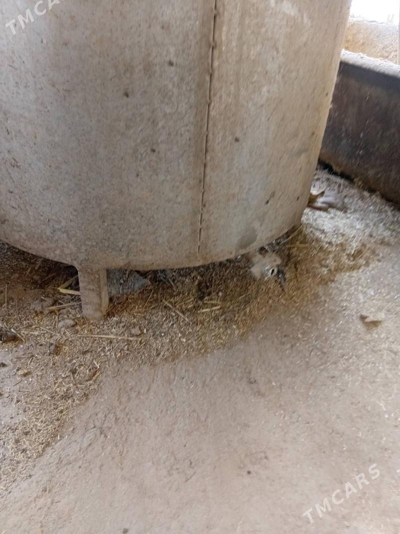 suyt parda bisiryàn enjam - Balkanabat - img 3