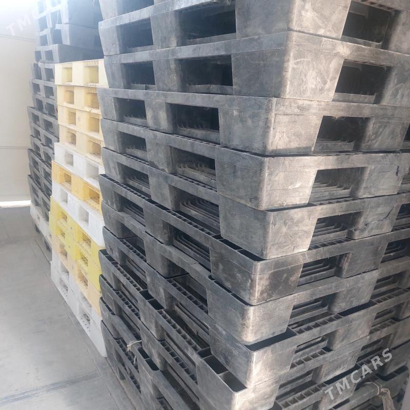 plasmas paddon - Arzuw - img 1