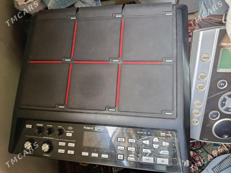 Roland SPD sx Sempil - Ak bugdaý etraby - img 2