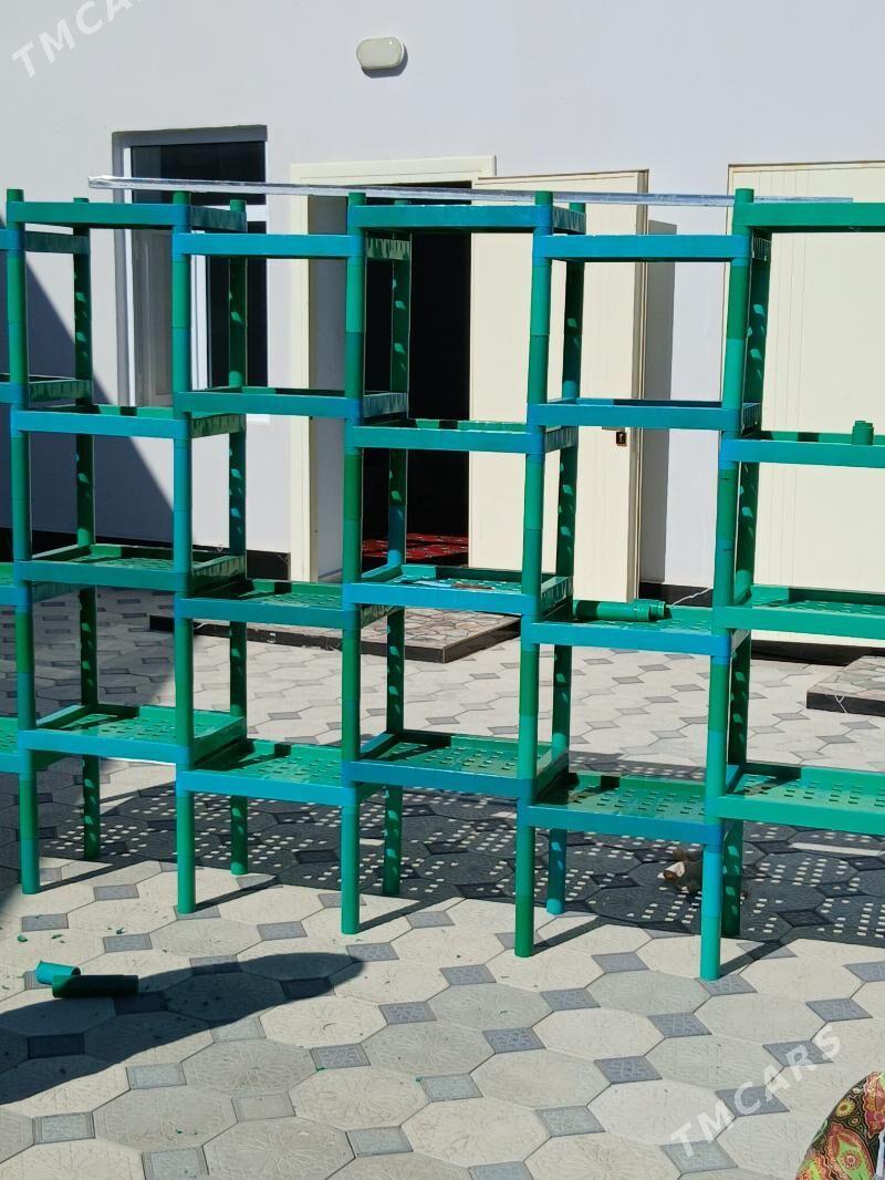 plasmas polka - Wekilbazar - img 4