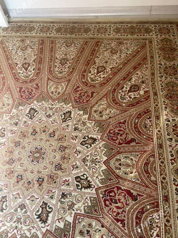 haly - Balkanabat - img 2