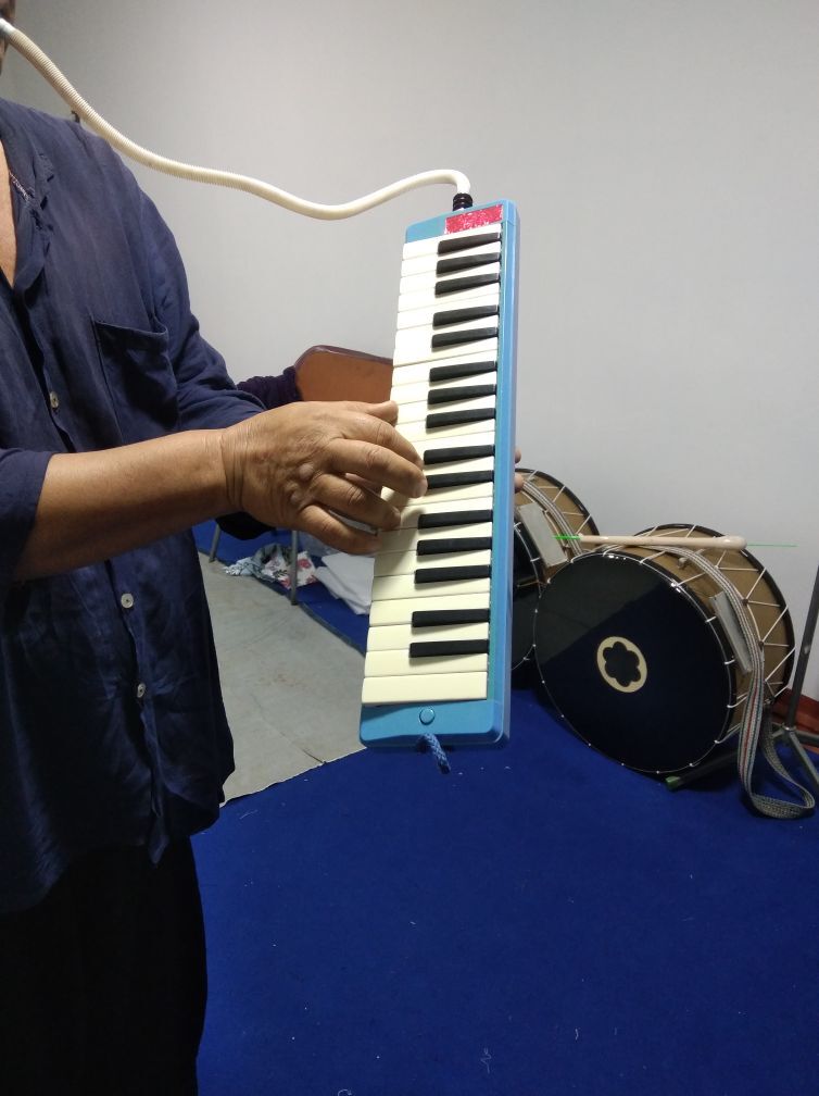 Акордион Akkardion - Halaç - img 8