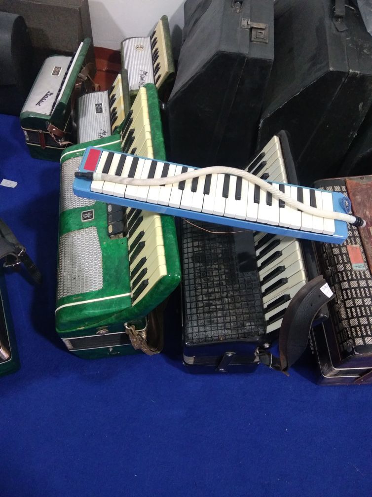 Акордион Akkardion - Halaç - img 10