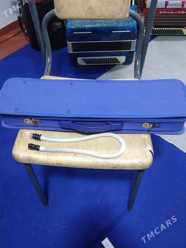 Akkordeon Akardion - Halaç - img 3