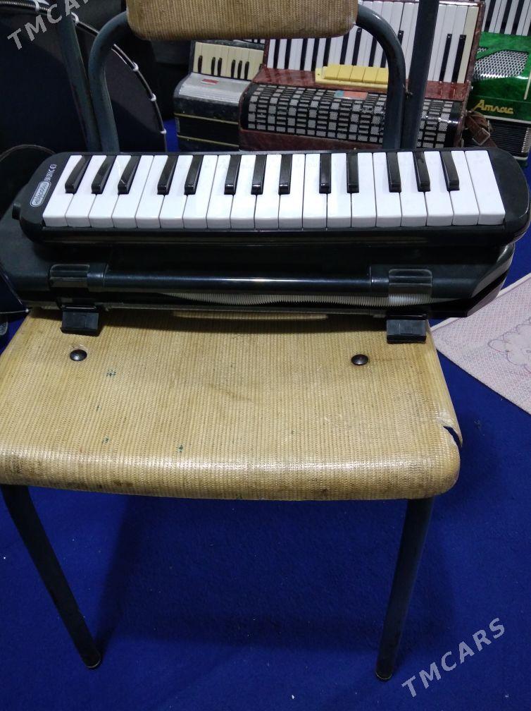 Akkordeon Akardion - Halaç - img 6