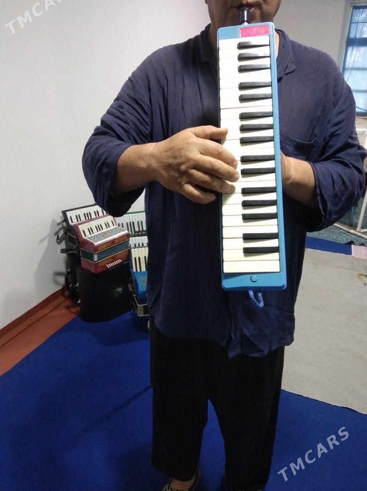 Akkordeon Akardion - Halaç - img 1