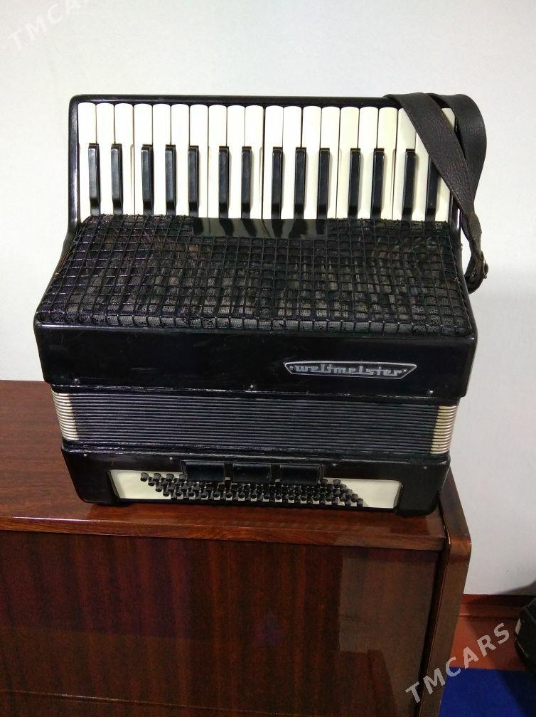 Akkordeon Akardion - Halaç - img 8