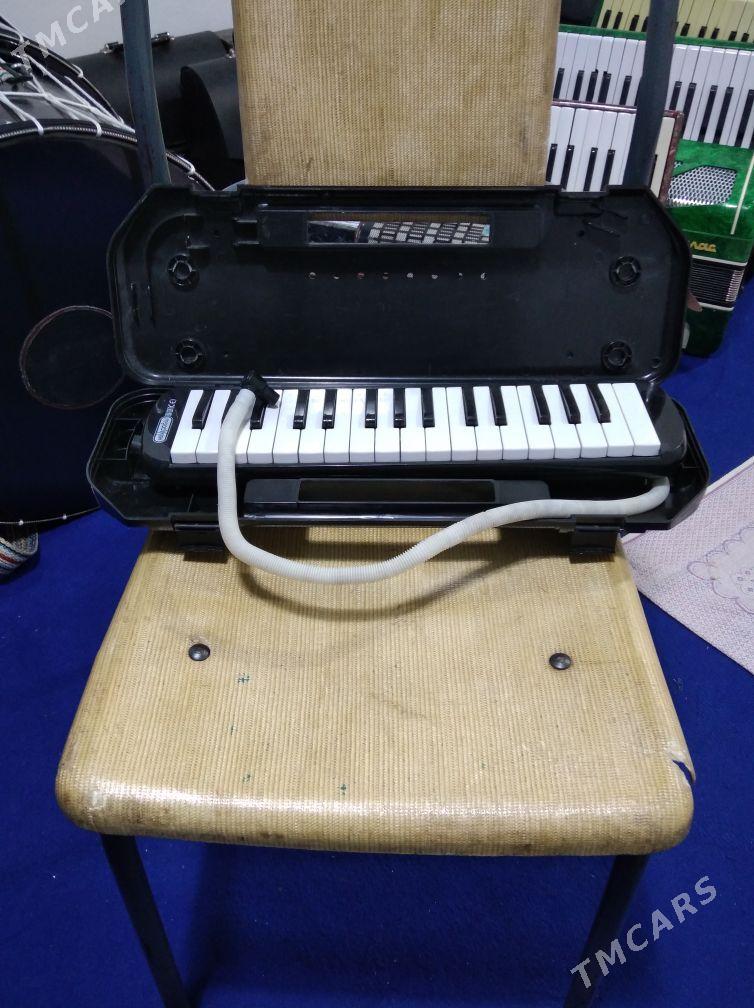 Akkordeon Akardion - Halaç - img 7