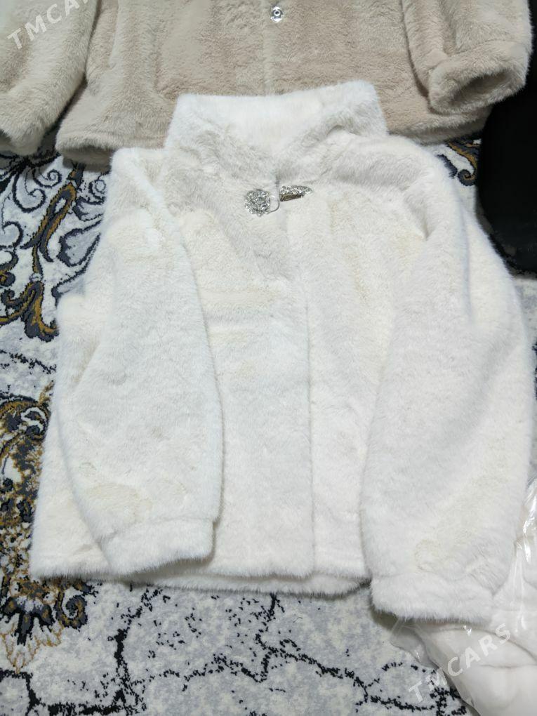 satlyk şubalar - Gyzylarbat - img 4