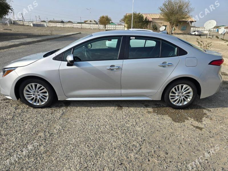 Toyota Corolla 2021 - 300 000 TMT - Bereket - img 3