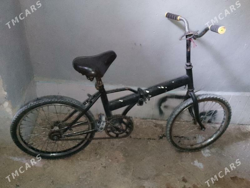 Kama welik - Gyzylarbat - img 4