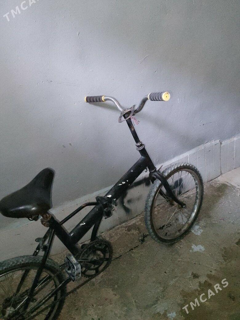 Kama welik - Gyzylarbat - img 2