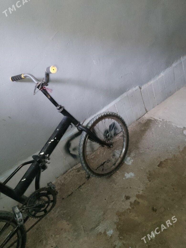 Kama welik - Gyzylarbat - img 3