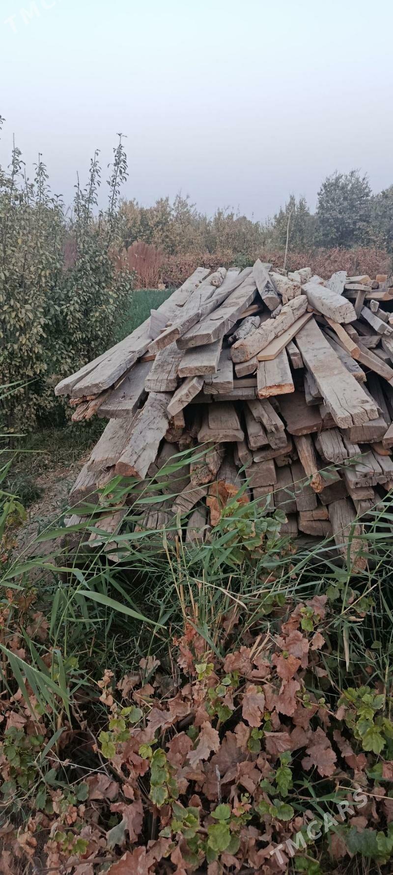 ağaç - Мургап - img 3