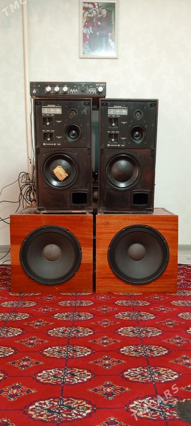 kalonka bocga - Хитровка - img 2