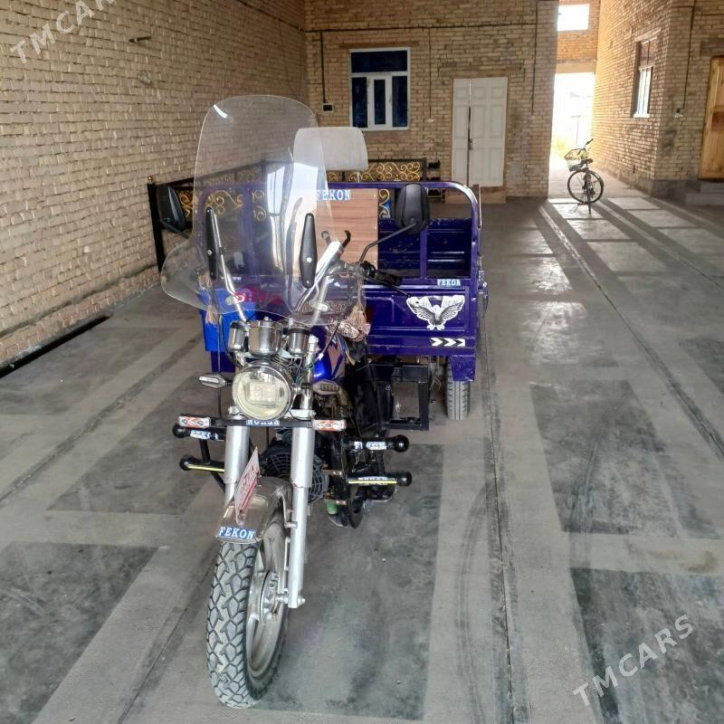 Fekon FK200-14G 2014 - 19 000 TMT - Çärjew - img 5