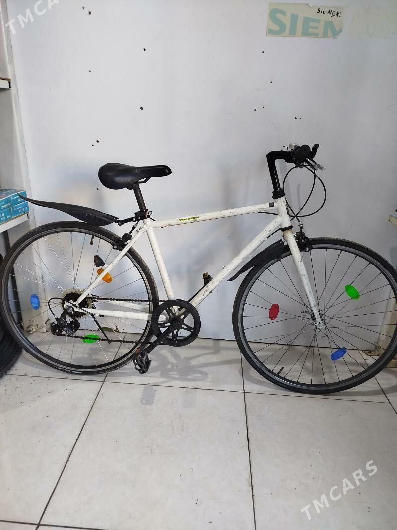 welik - Мары - img 2