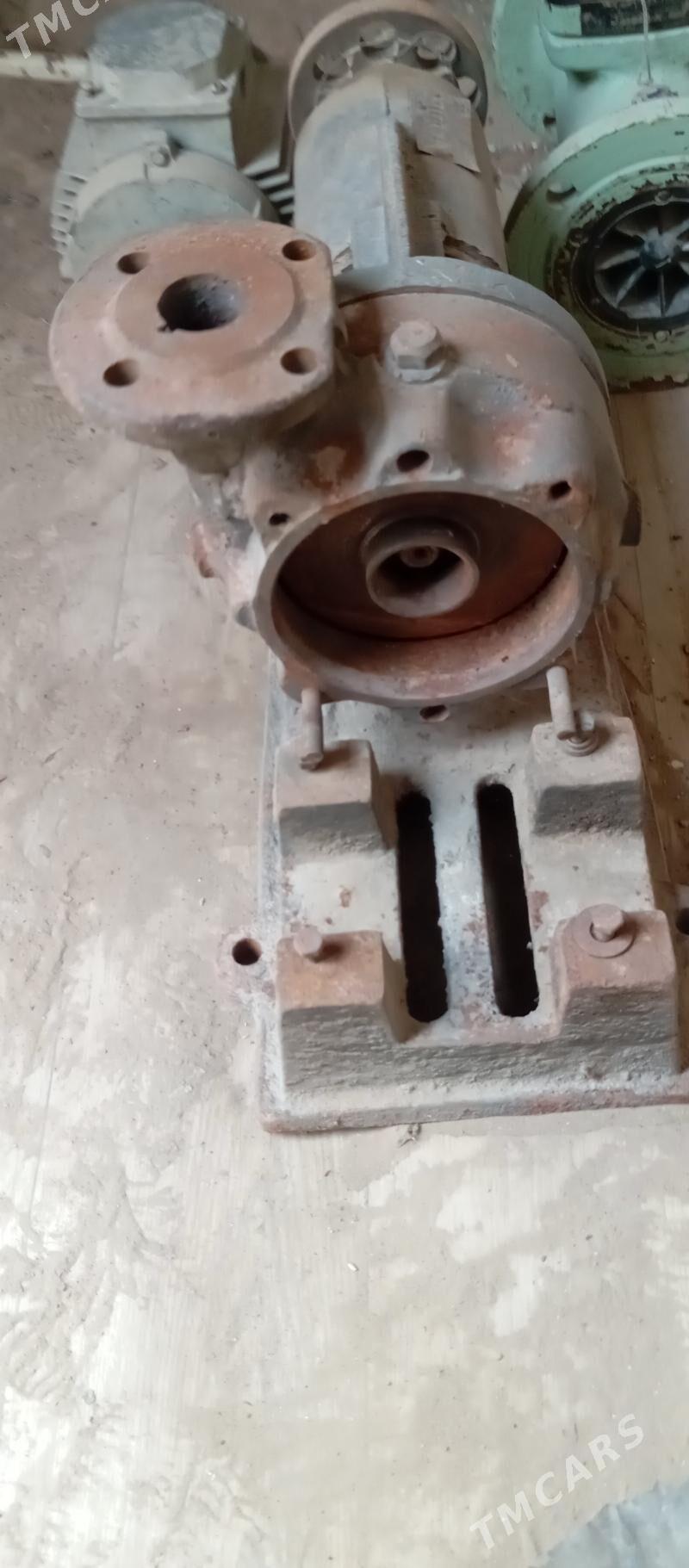 nasos - Türkmenbaşy - img 2