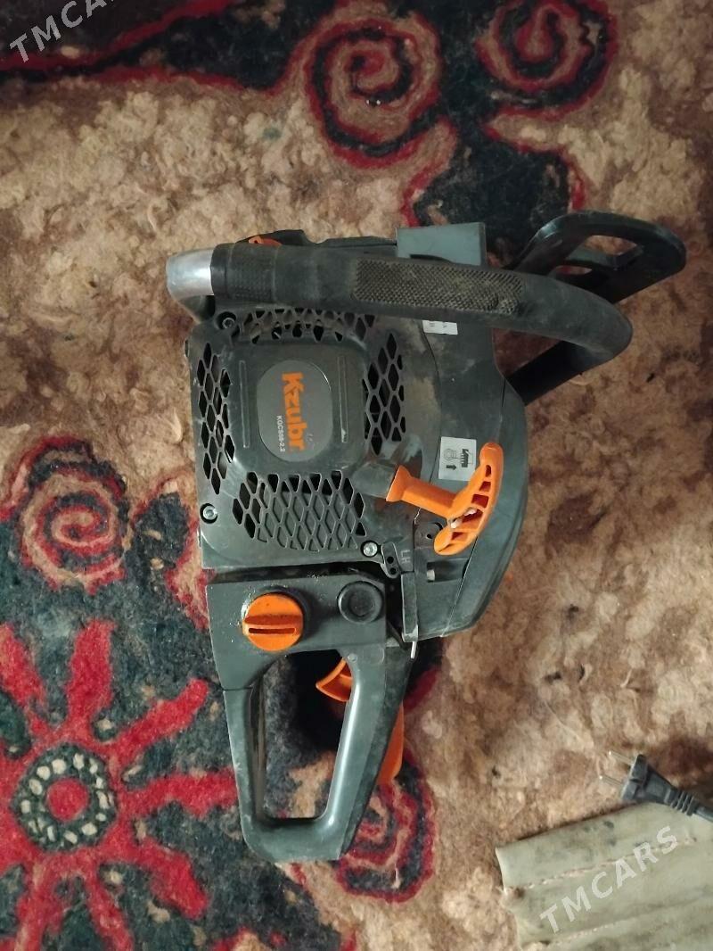 Agaç kesÿan. - Гызыларбат - img 3