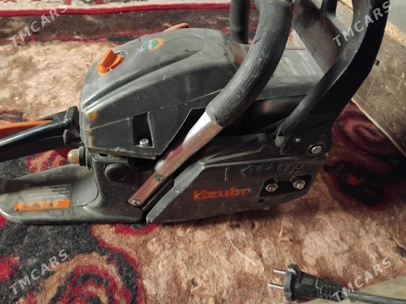 Agaç kesÿan. - Гызыларбат - img 2