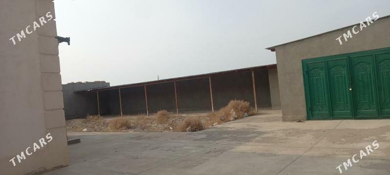 jay 30 yyllyk - Дашогуз - img 2