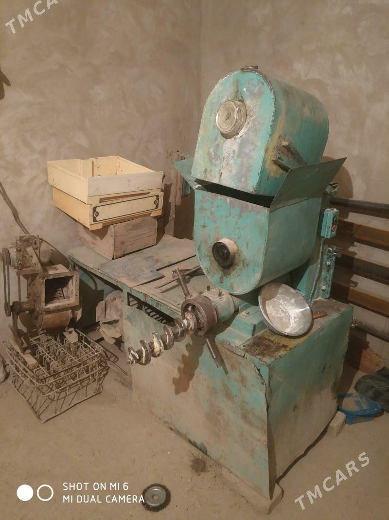 Makaron aparat - Görogly (Tagta) - img 5