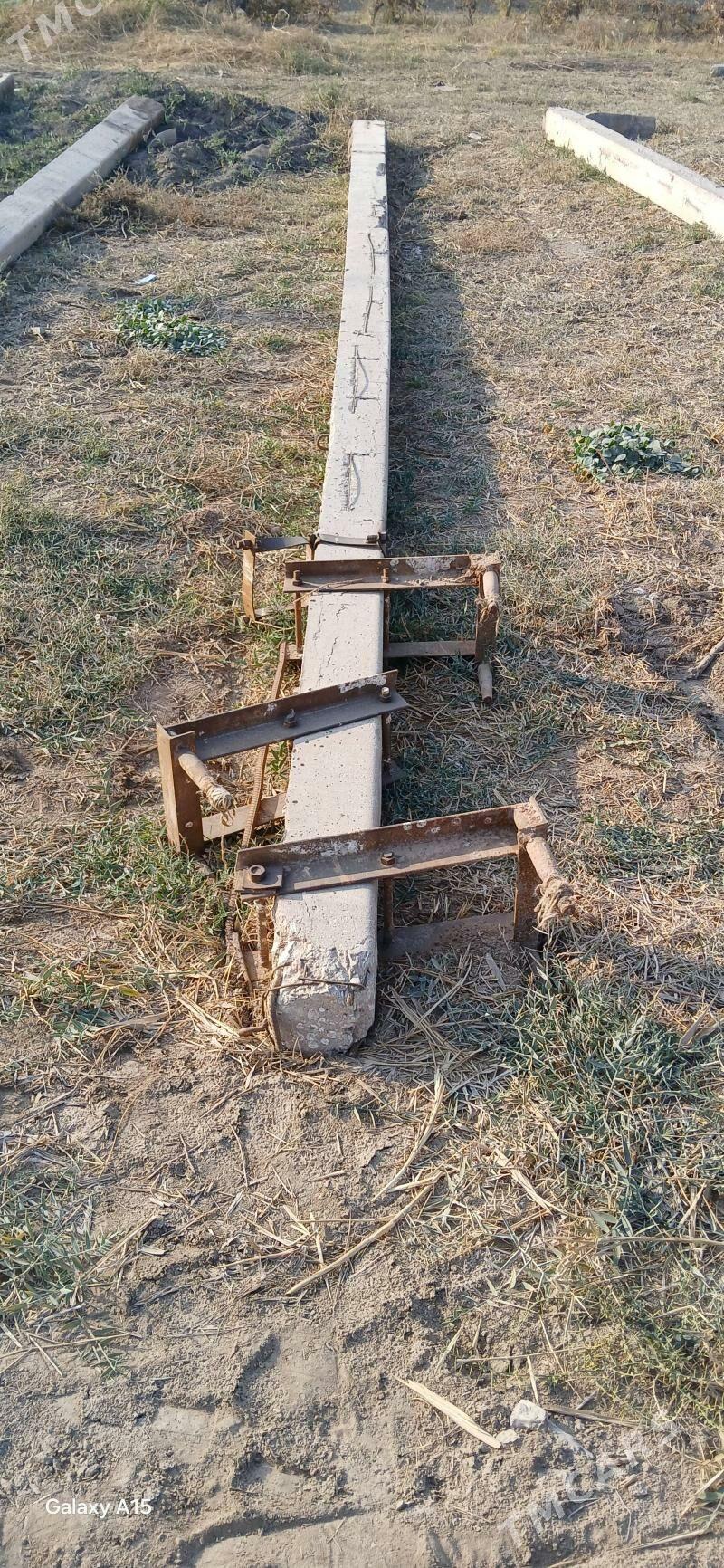 stalba sym - Murgap - img 2