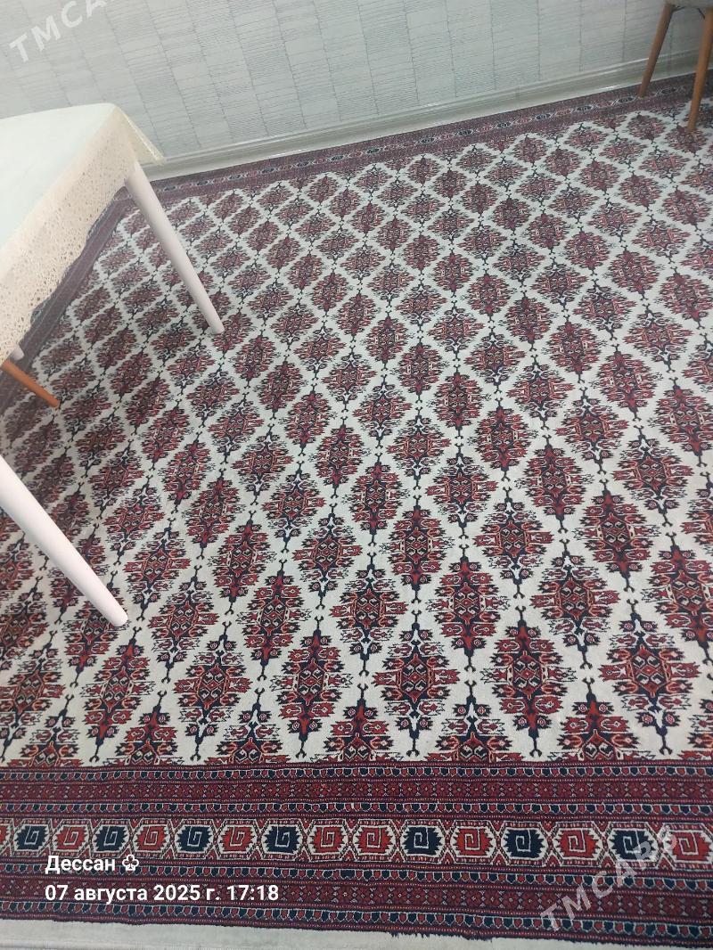 haly - Türkmenbaşy - img 2