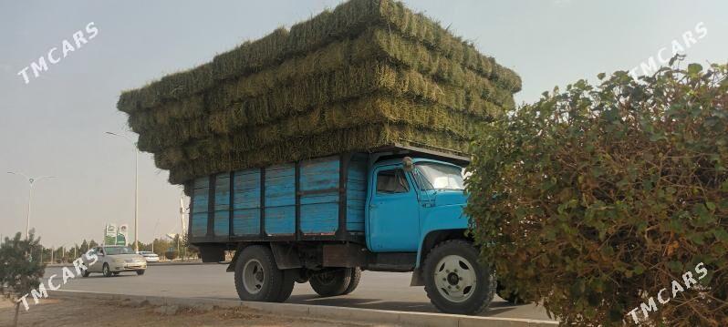 ýorunja bede - Ak bugdaý etraby - img 1