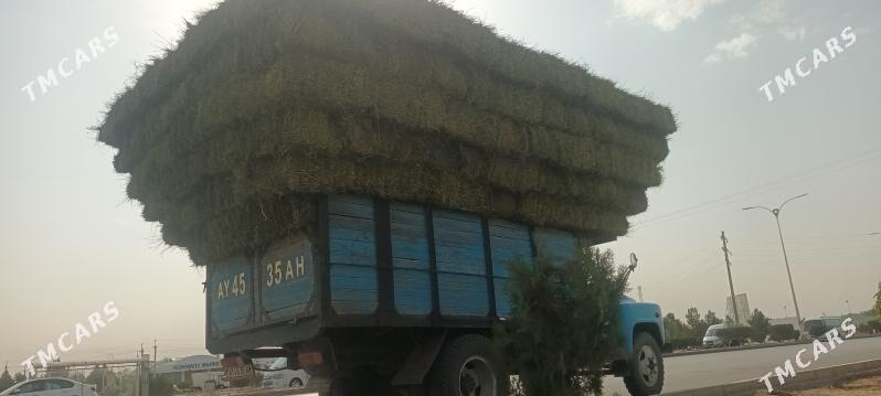 ýorunja bede - Ak bugdaý etraby - img 2