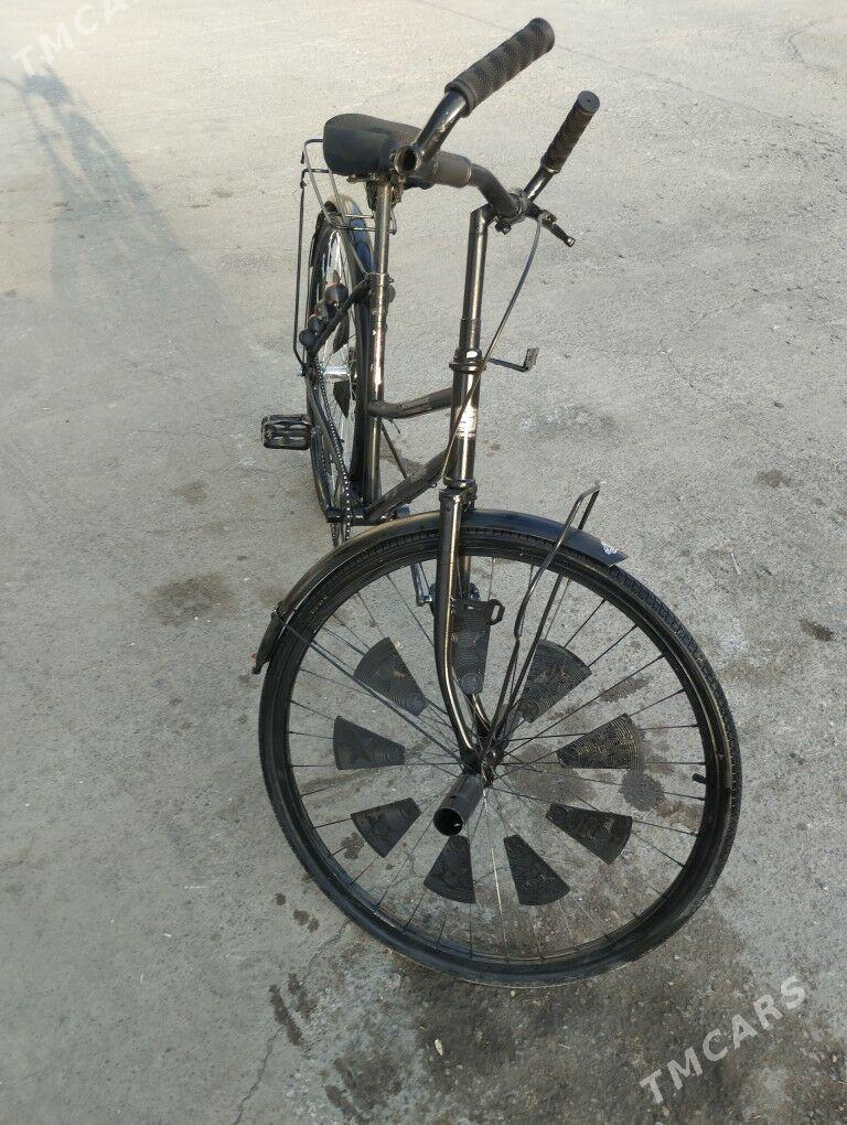 Welik 26lyk - Mary - img 3