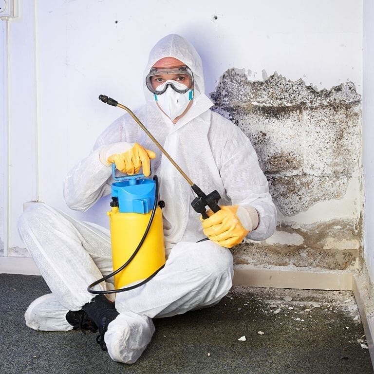 TAGTA BITE garsy DERMAN - Aşgabat - img 2